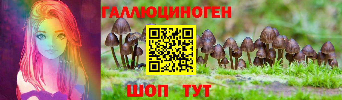 Галлюциногенные грибы Magic Shrooms  Вход с VPN  Артёмовский 